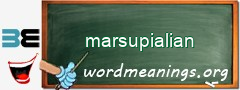 WordMeaning blackboard for marsupialian